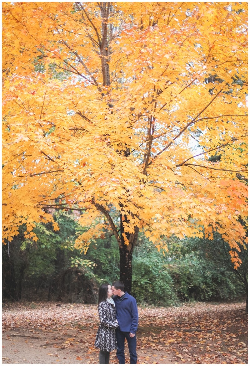 A Bright Orange tree during a fall Reedy Creek Park Engagement Session