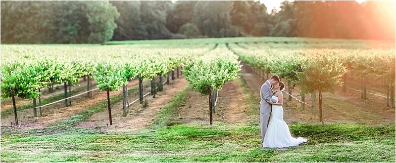 Bride and groom portraits during the vineyard wedding at the Hinnant Family Vineyard in Pine Level Nc near Raleigh Brenizer method