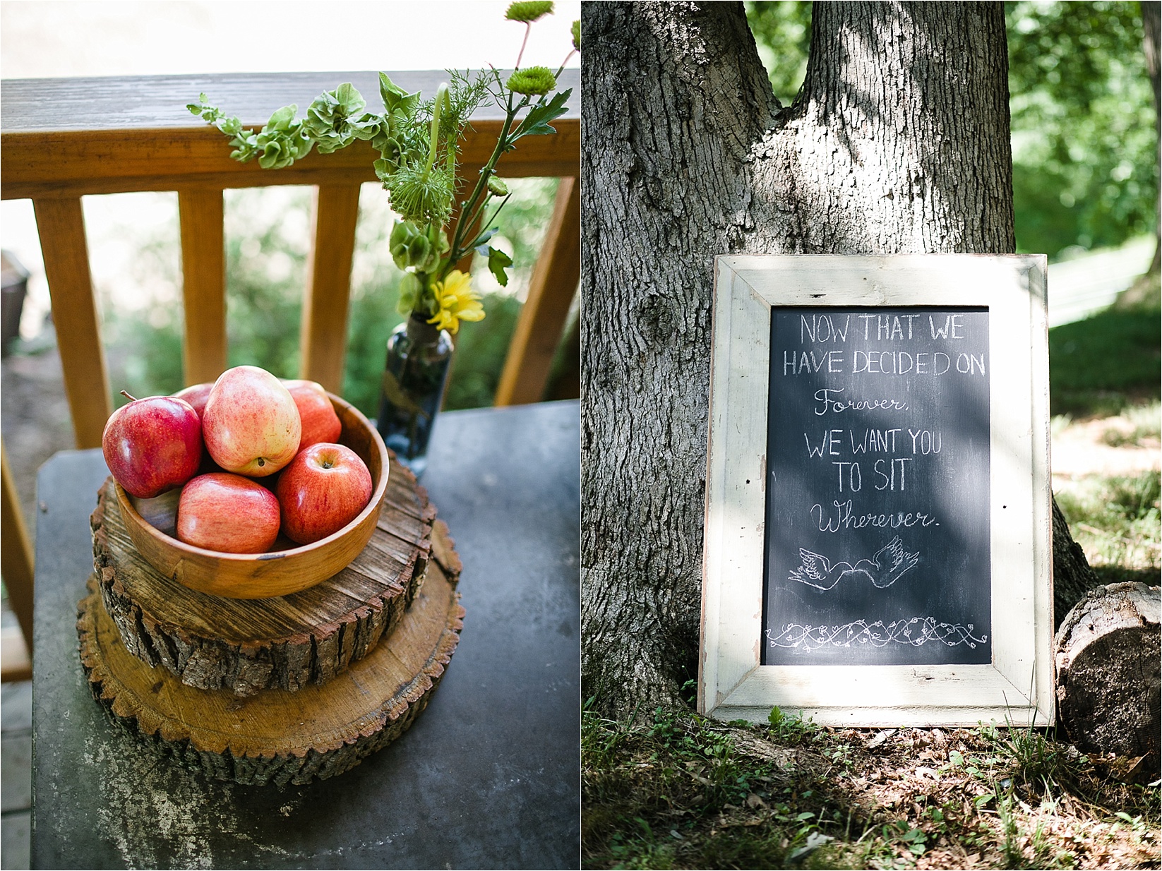 Apples and signs for the wedding at Caroline and Evans mountain wedding at yesterday spaces in asheville leicester north caroline