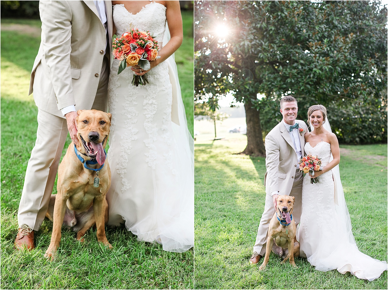 new family brie and groom potraits with dog during their wedding at the Historic Rural Hill wedding ceremony and reception in Huntersville nc