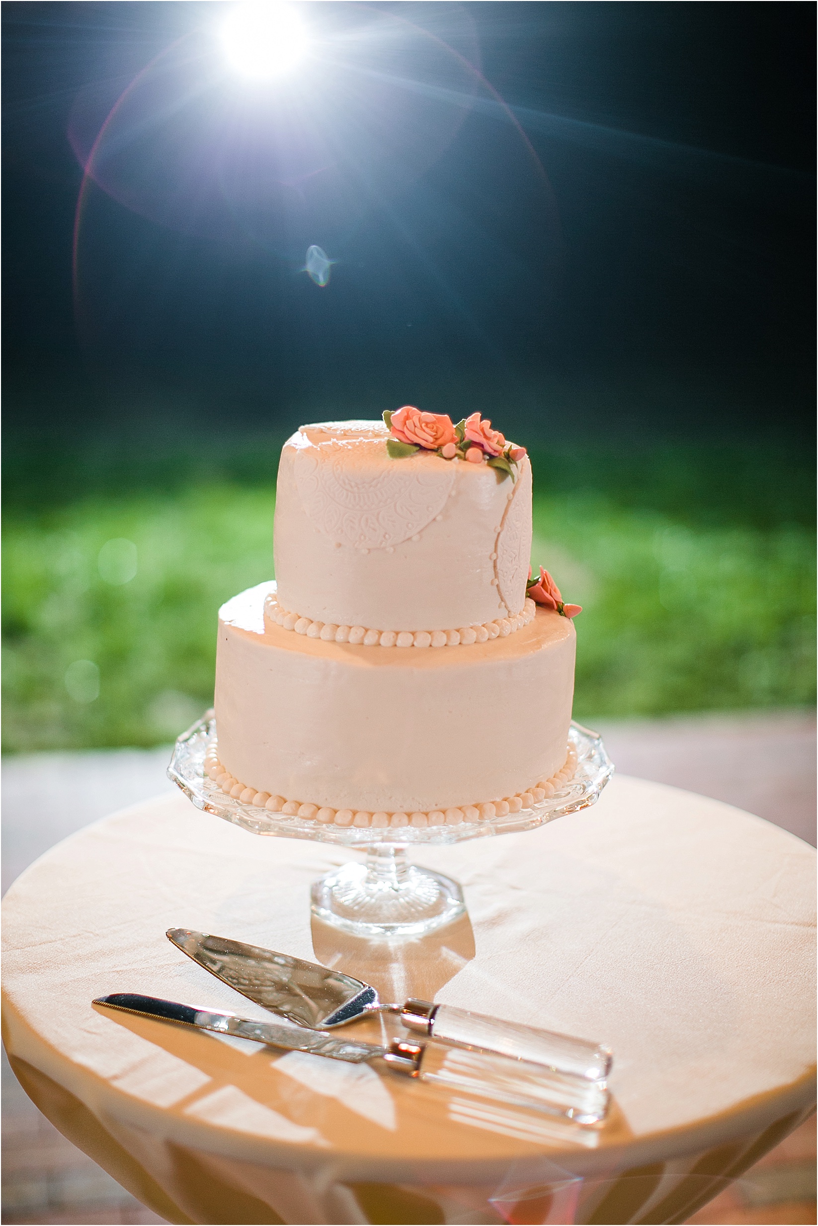 the cake backlit during their wedding at the Historic Rural Hill wedding ceremony and reception in Huntersville nc