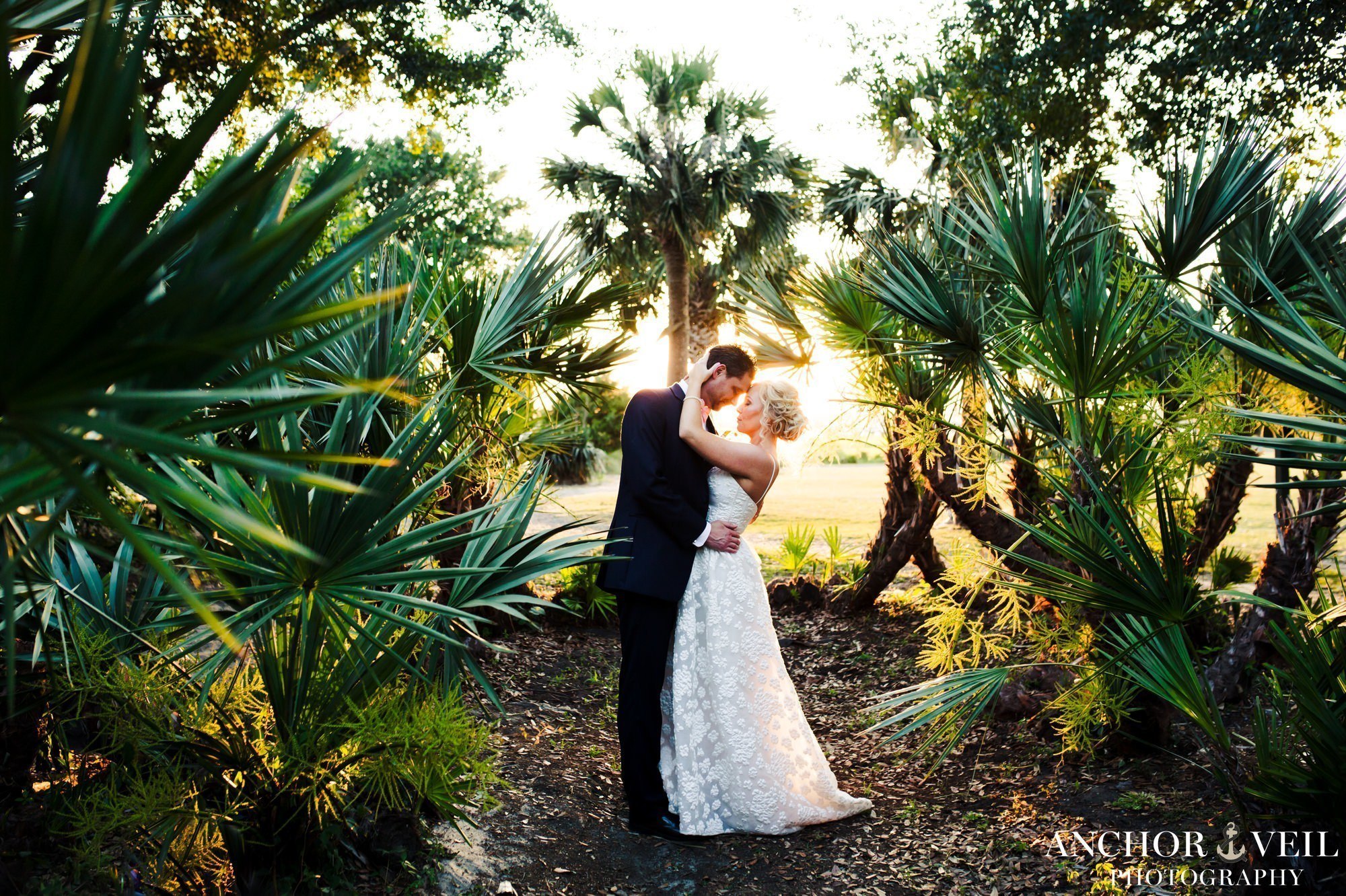 bride and groom with incredible light between the palm trees foreheads together