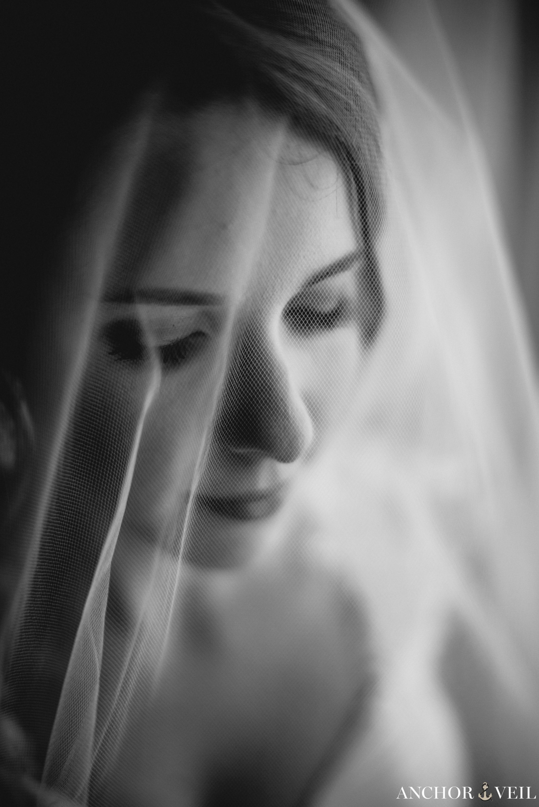veil covering bride's face