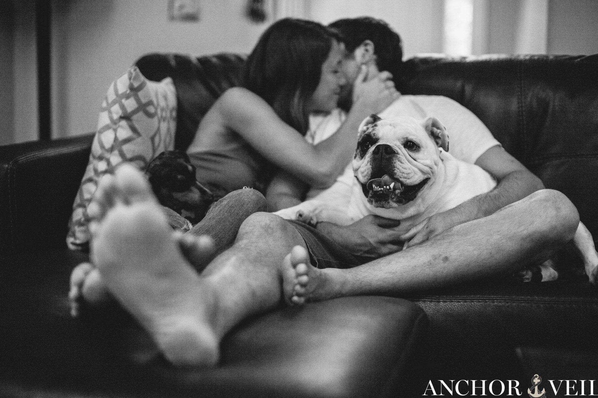 on the couch, kissing with the dogs watching