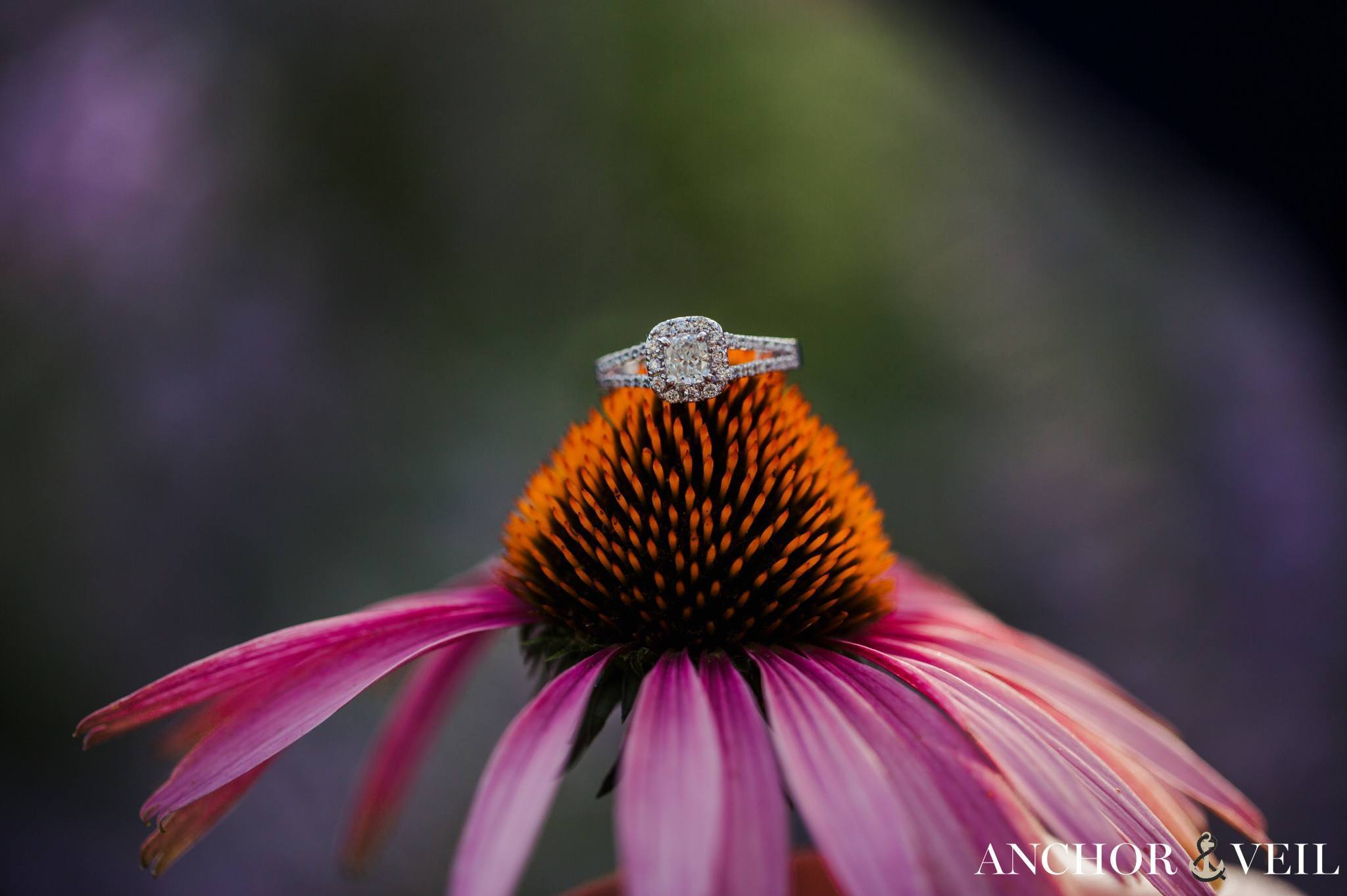 the flowers and the rings