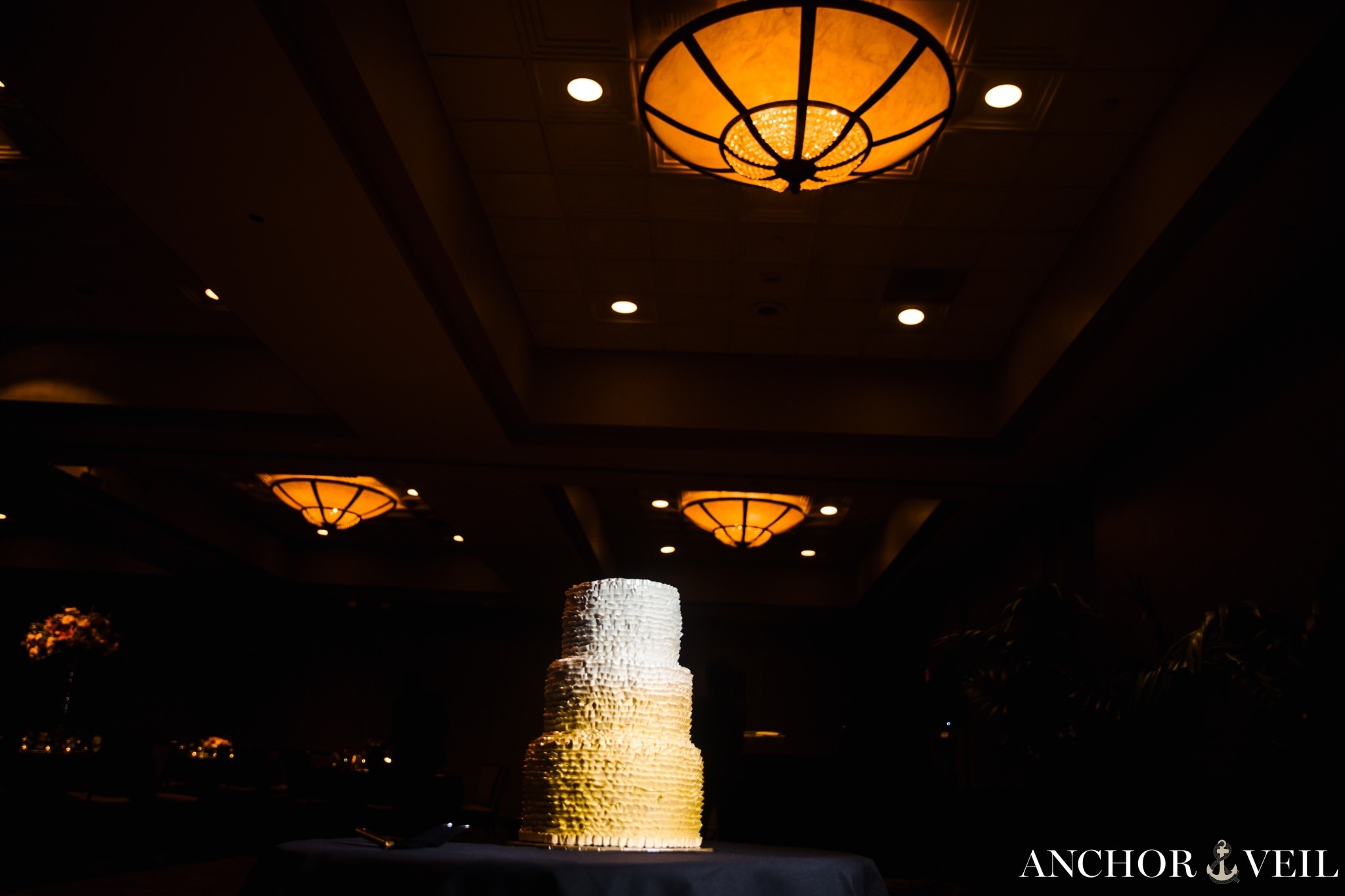 the cake during the reception