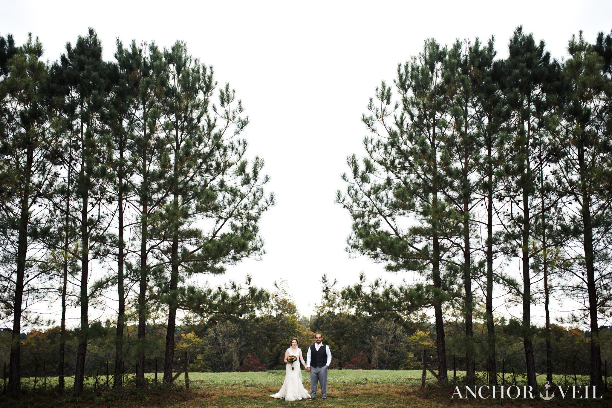 standing in between the large trees at the Hunting Creek Farms Wedding