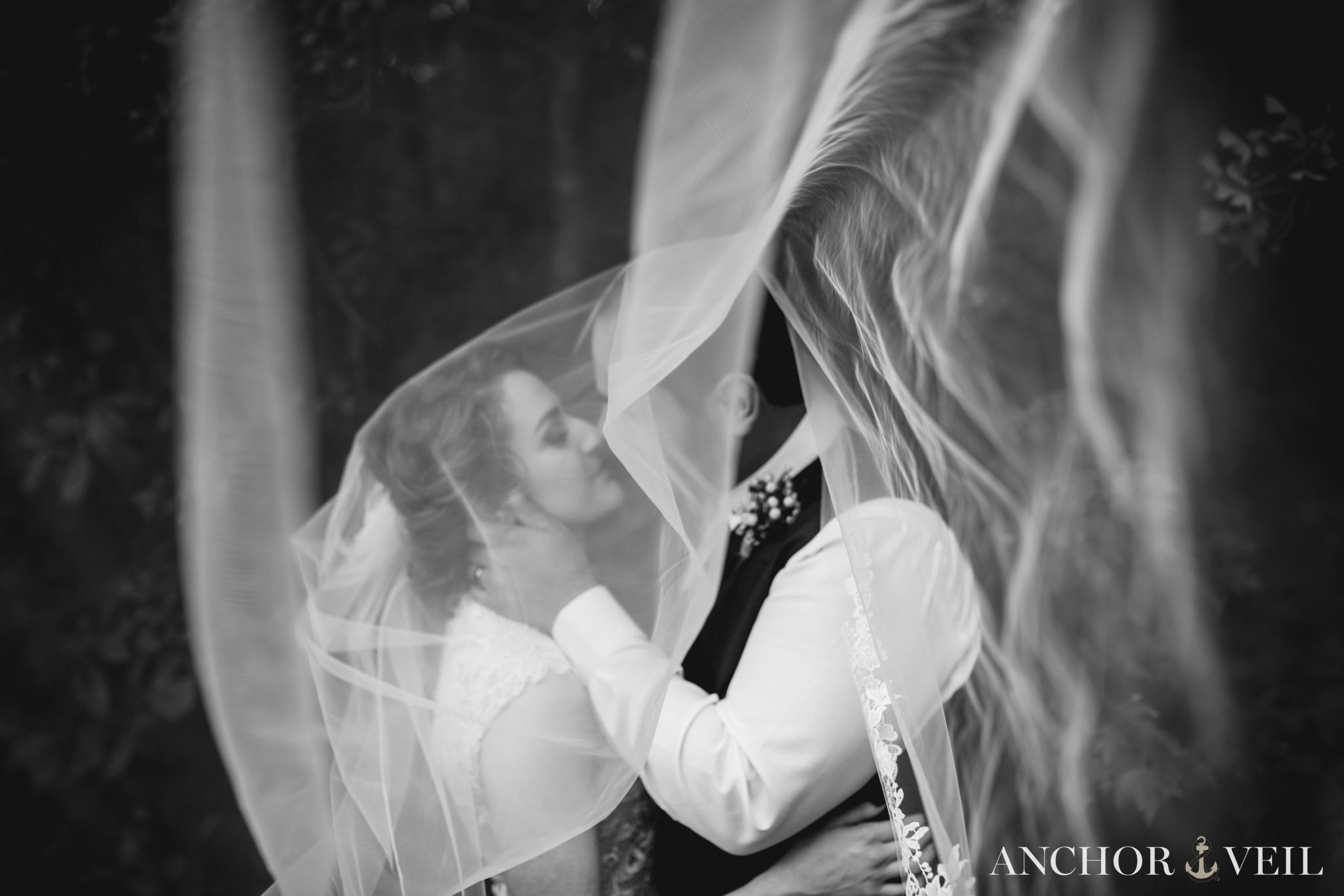 under the veil in black and white at the Hunting Creek Farms Wedding