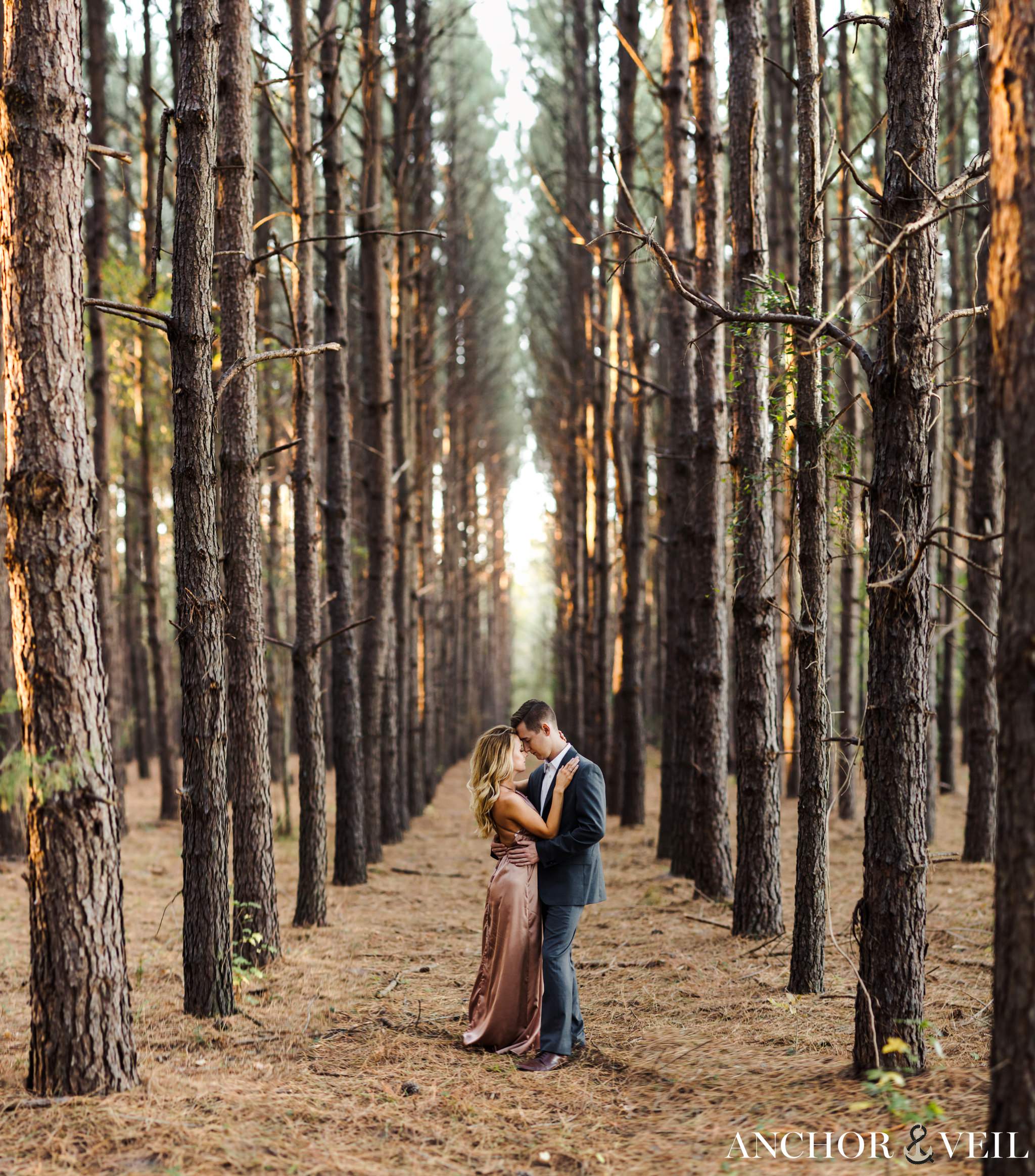 foreheads together with symmetrical trees in the tree forest during their charlotte engagement session