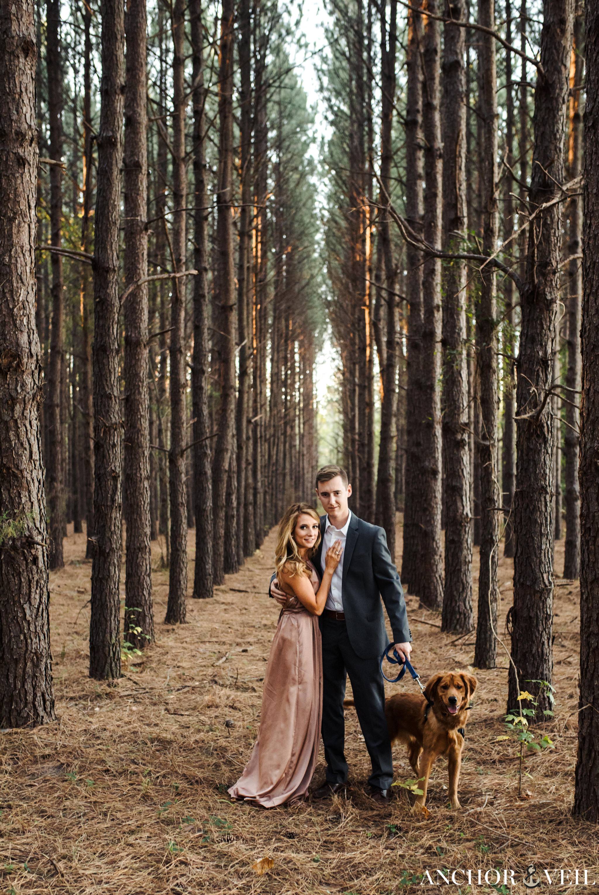 holding the dog for the picture in the tree forest during their charlotte engagement session