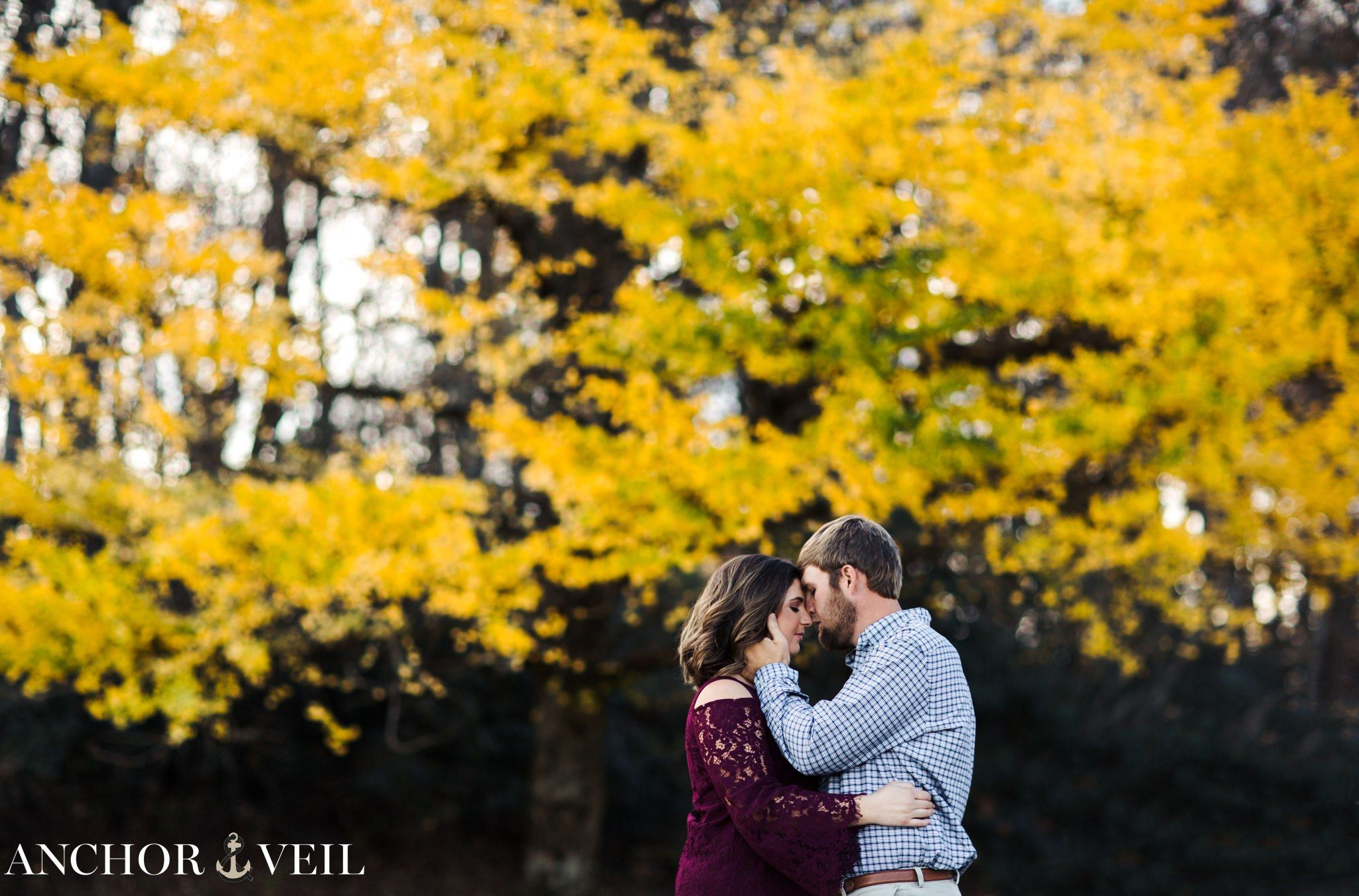 kissing in front of the fall colored trees during the Blue Ridge Mountains Engagement Session