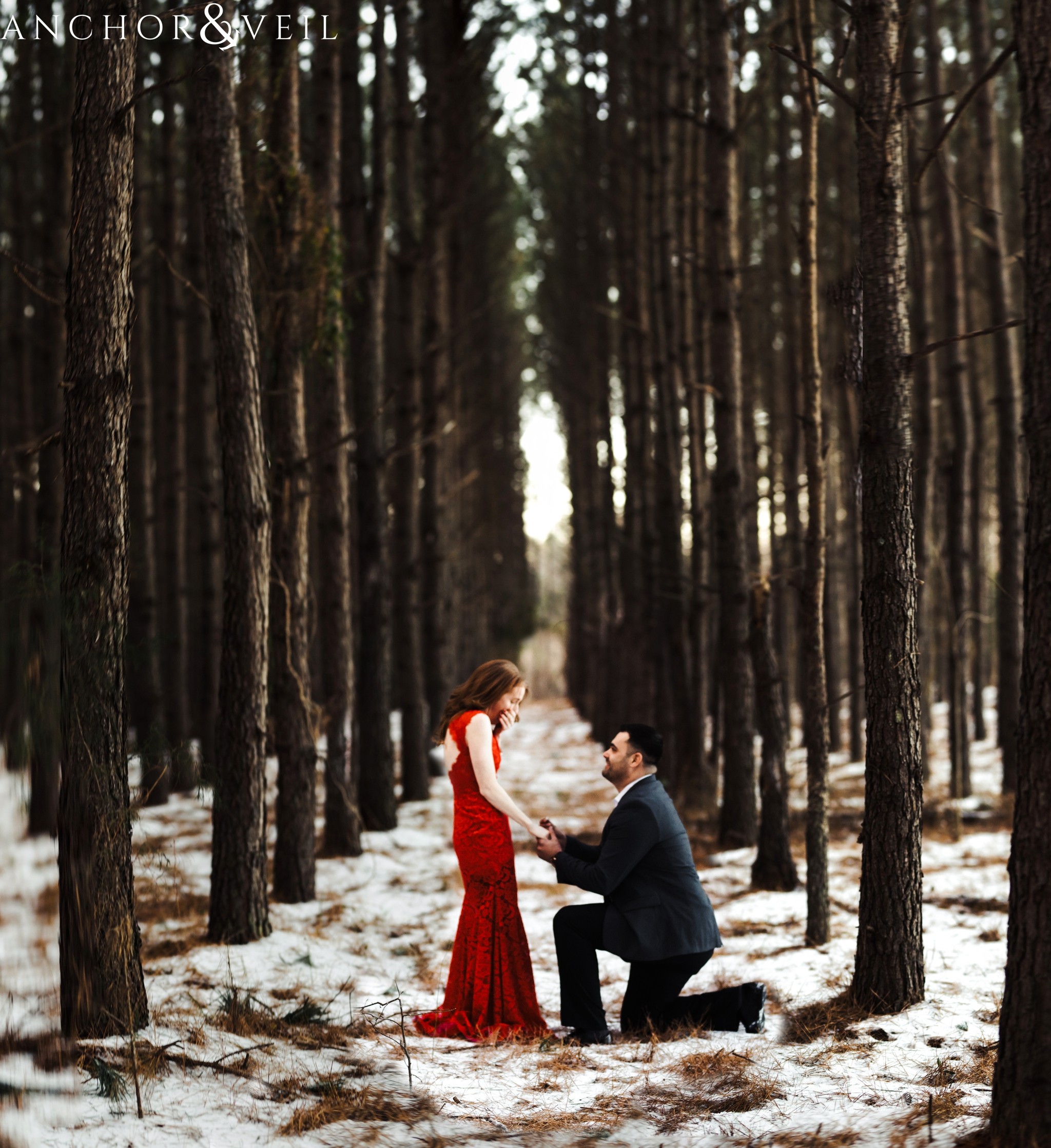 proposing in the middle of the tree farm during their Charlotte Snow engagement session in the woods