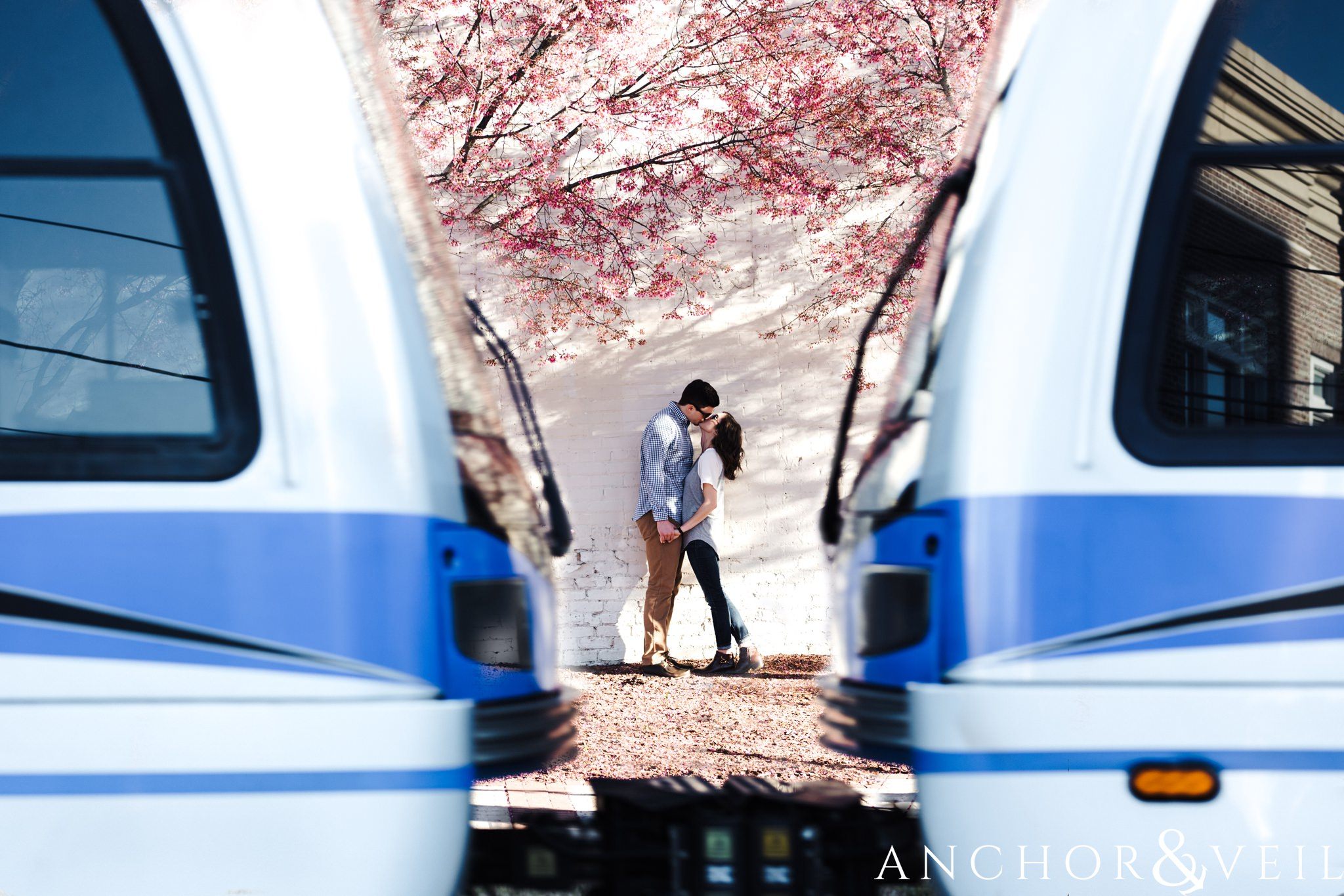 pink flowers and light rail during their southend Charlotte and Jetton park engagement session