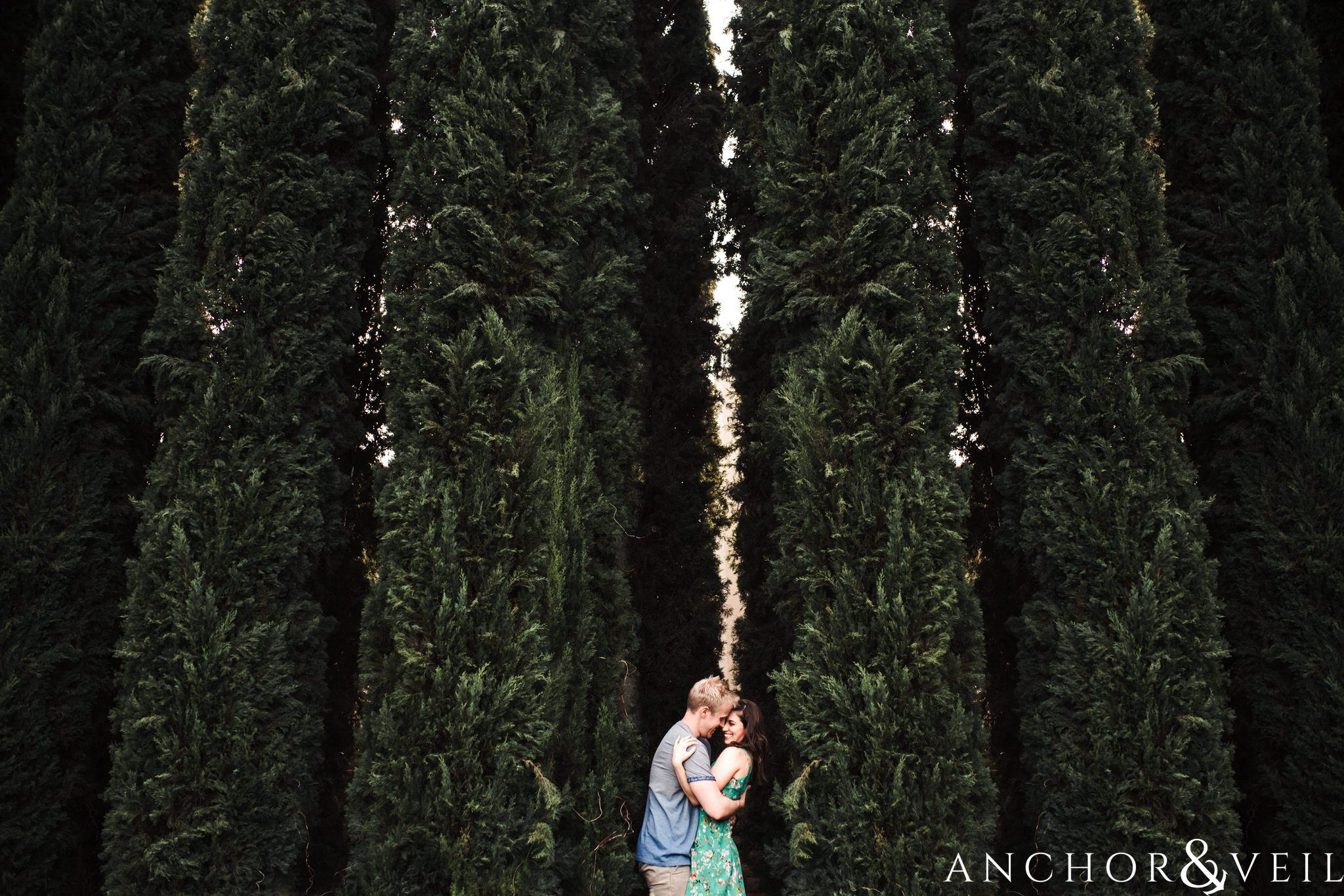 tree symmetry during their Laguna Beach Engagement Session 35