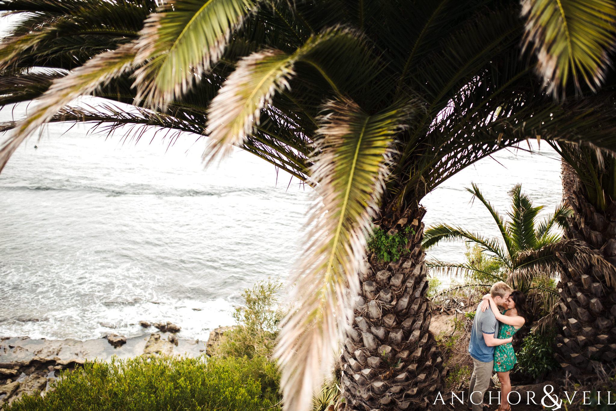 palm trees during their Laguna Beach Engagement Session 