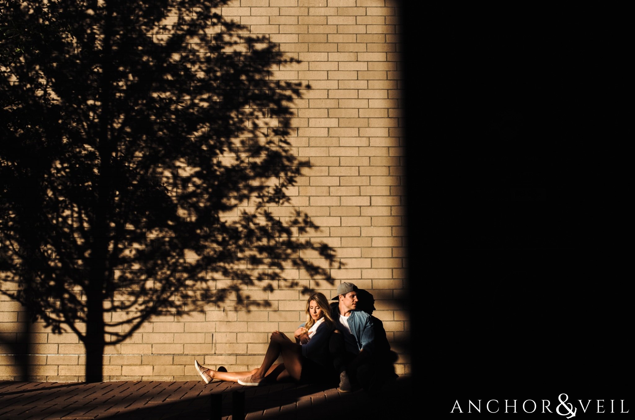 light and shadows with the tree uptown Charlotte engagement session
