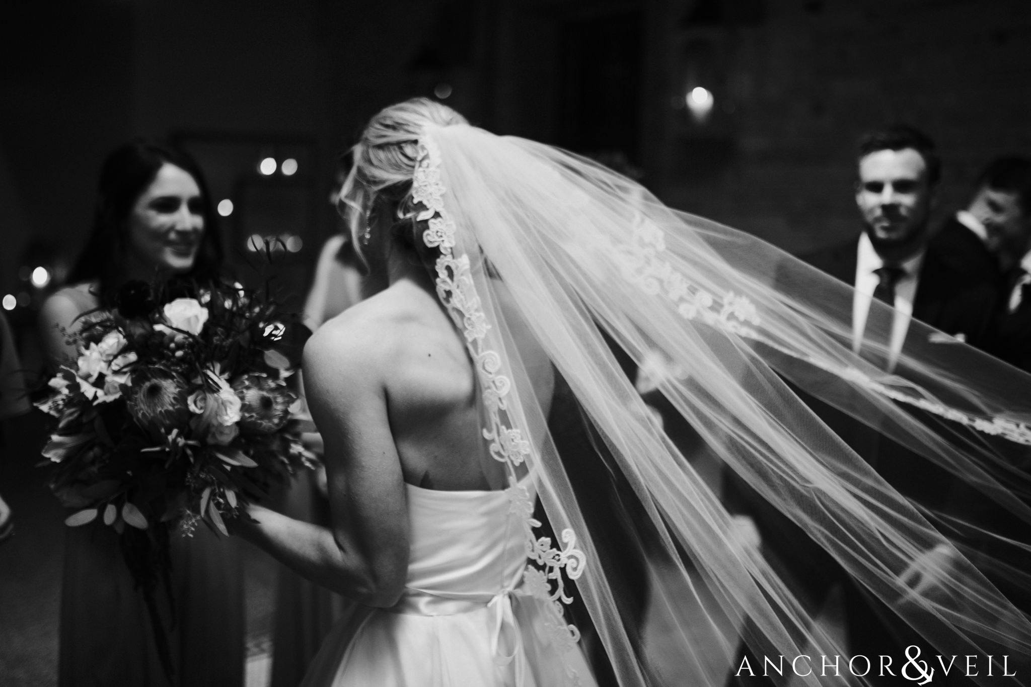 the veil during their Downtown Asheville Wedding