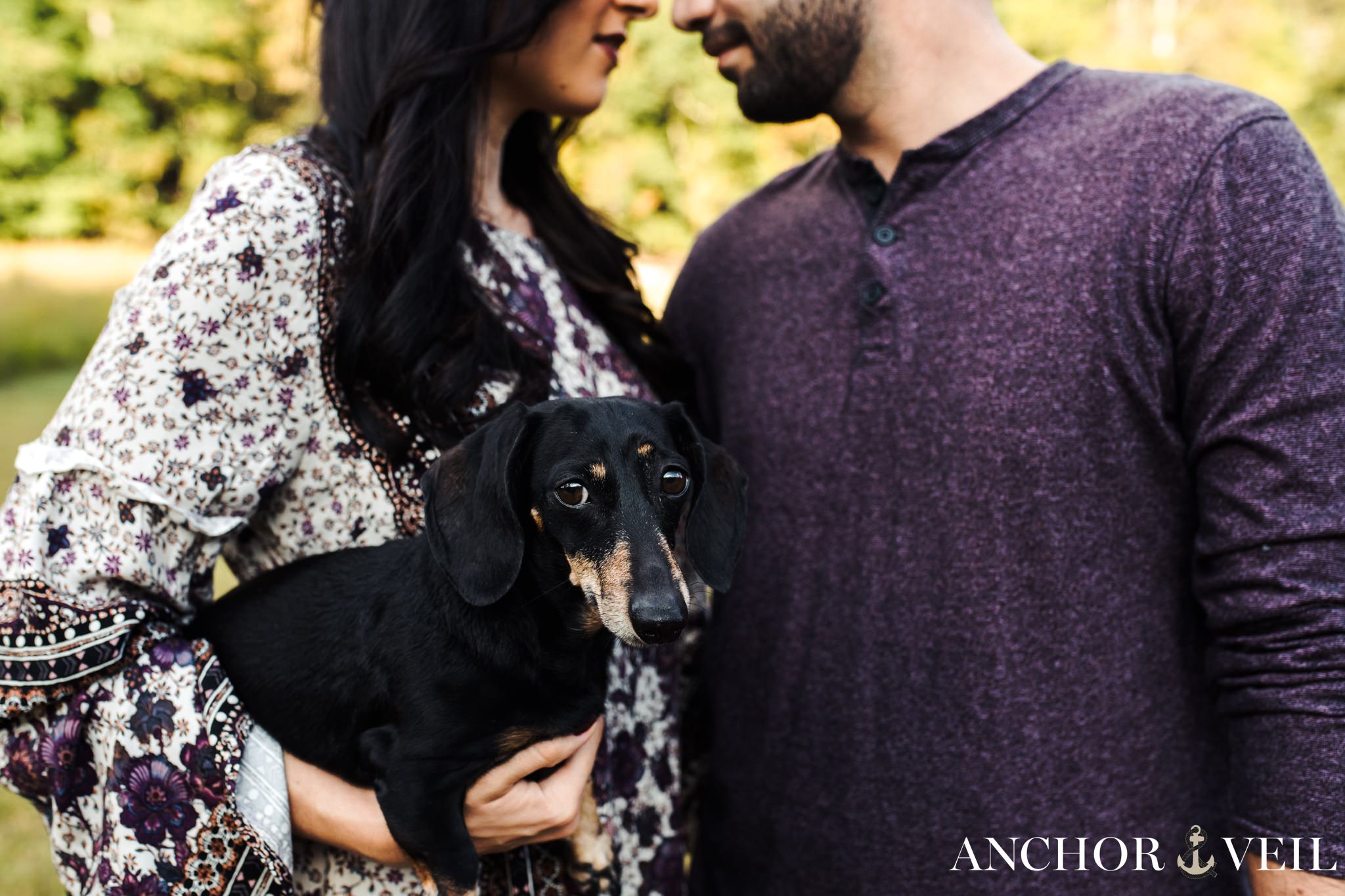 Getting Close with the Dog during their Stone Mountain Engagement Session
